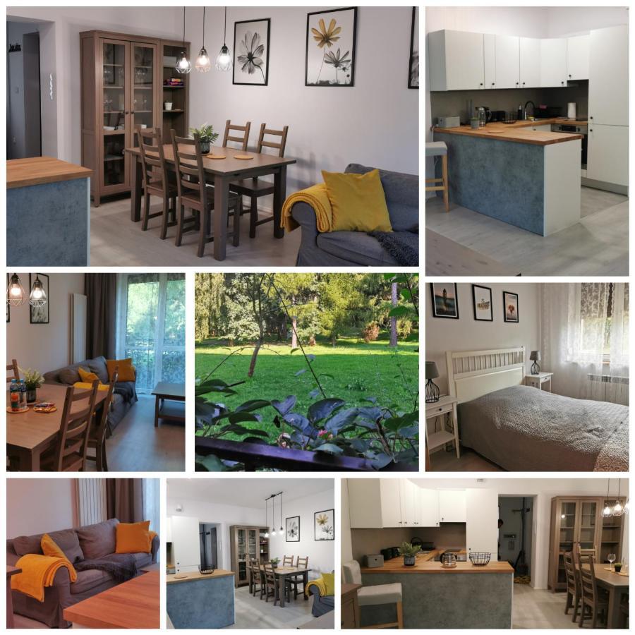 Apartmán Apartament W Parku Osvětim Exteriér fotografie