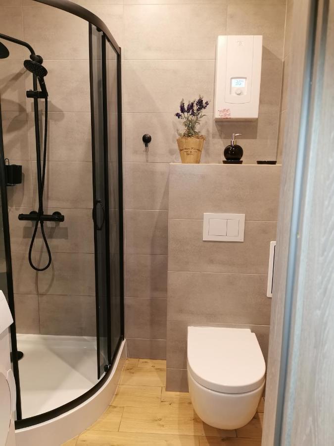 Apartmán Apartament W Parku Osvětim Exteriér fotografie
